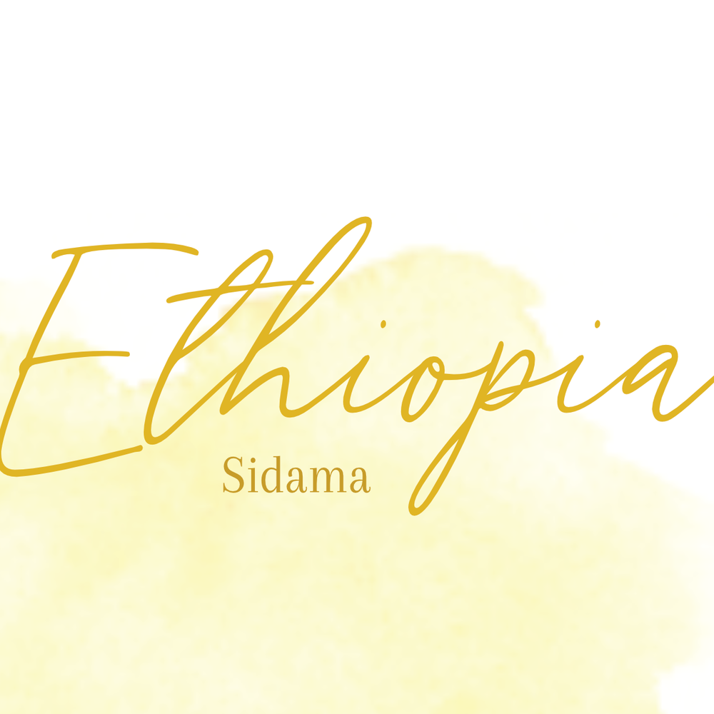 ETHIOPIA - SIDAMA